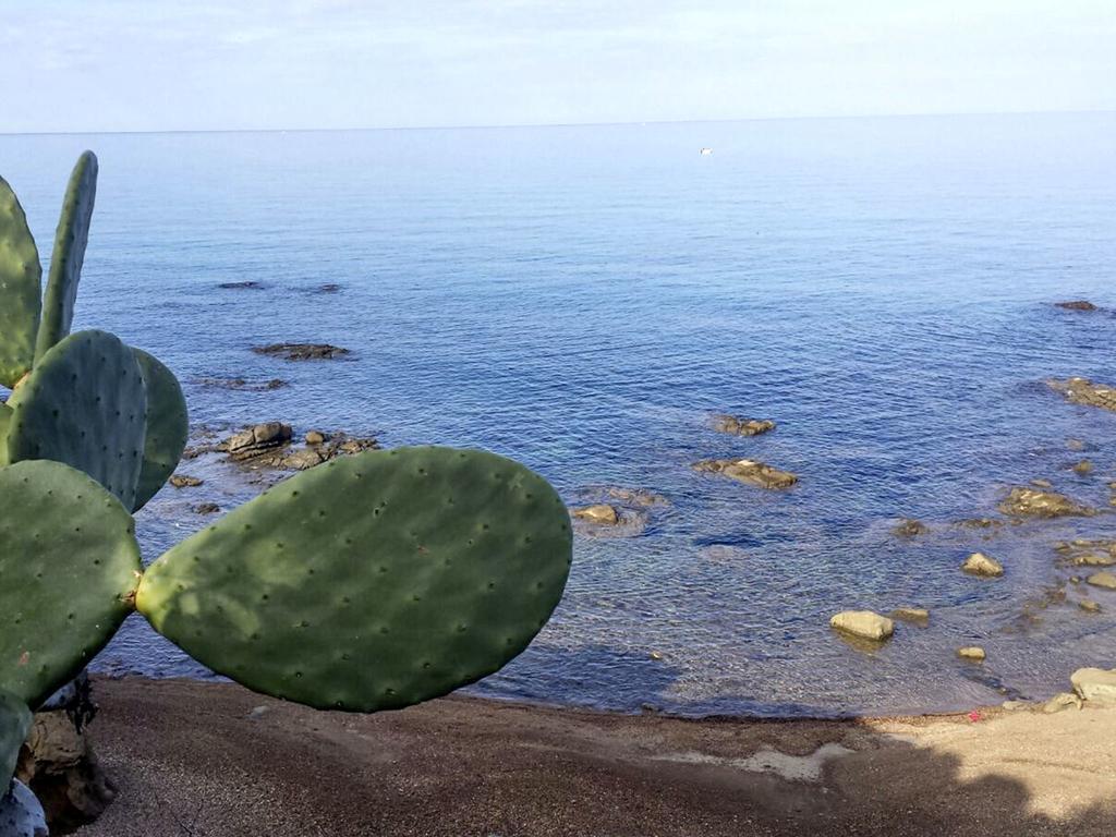 Villa Le Magnolie Cefalù Εξωτερικό φωτογραφία